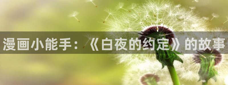 韩国免费歪歪漫画：漫画小能手：《白夜的约定》的故事
